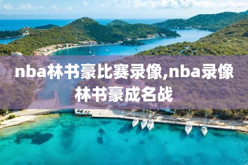 nba林书豪比赛录像,nba录像林书豪成名战