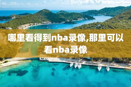 哪里看得到nba录像,那里可以看nba录像