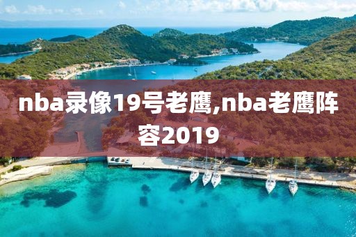 nba录像19号老鹰,nba老鹰阵容2019