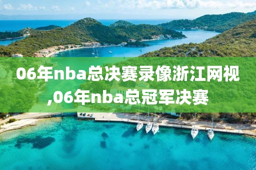 06年nba总决赛录像浙江网视,06年nba总冠军决赛