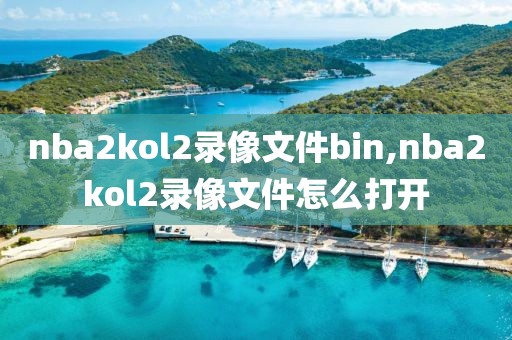 nba2kol2录像文件bin,nba2kol2录像文件怎么打开