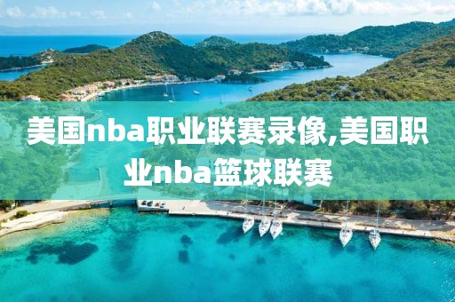 美国nba职业联赛录像,美国职业nba篮球联赛