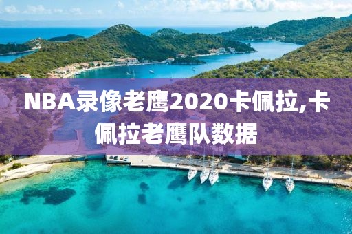 NBA录像老鹰2020卡佩拉,卡佩拉老鹰队数据