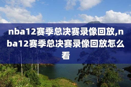 nba12赛季总决赛录像回放,nba12赛季总决赛录像回放怎么看