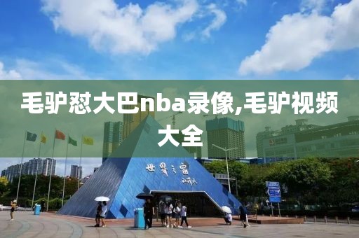 毛驴怼大巴nba录像,毛驴视频大全