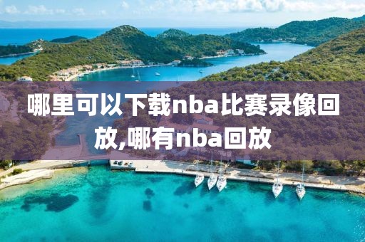哪里可以下载nba比赛录像回放,哪有nba回放