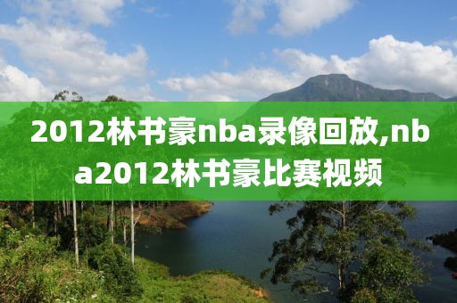 2012林书豪nba录像回放,nba2012林书豪比赛视频