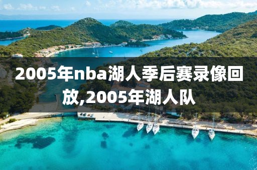 2005年nba湖人季后赛录像回放,2005年湖人队